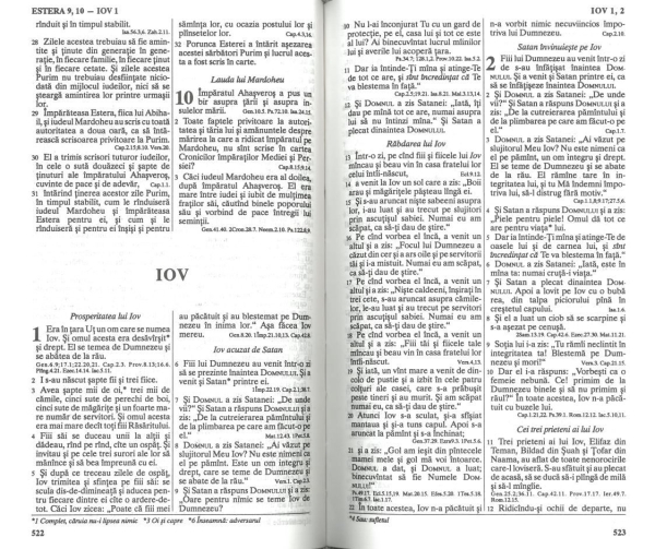 Bibel Rumänisch